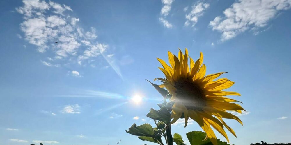 Calor y cielos despejados en CLM. Imagen de @josepujol, para la Aemet.