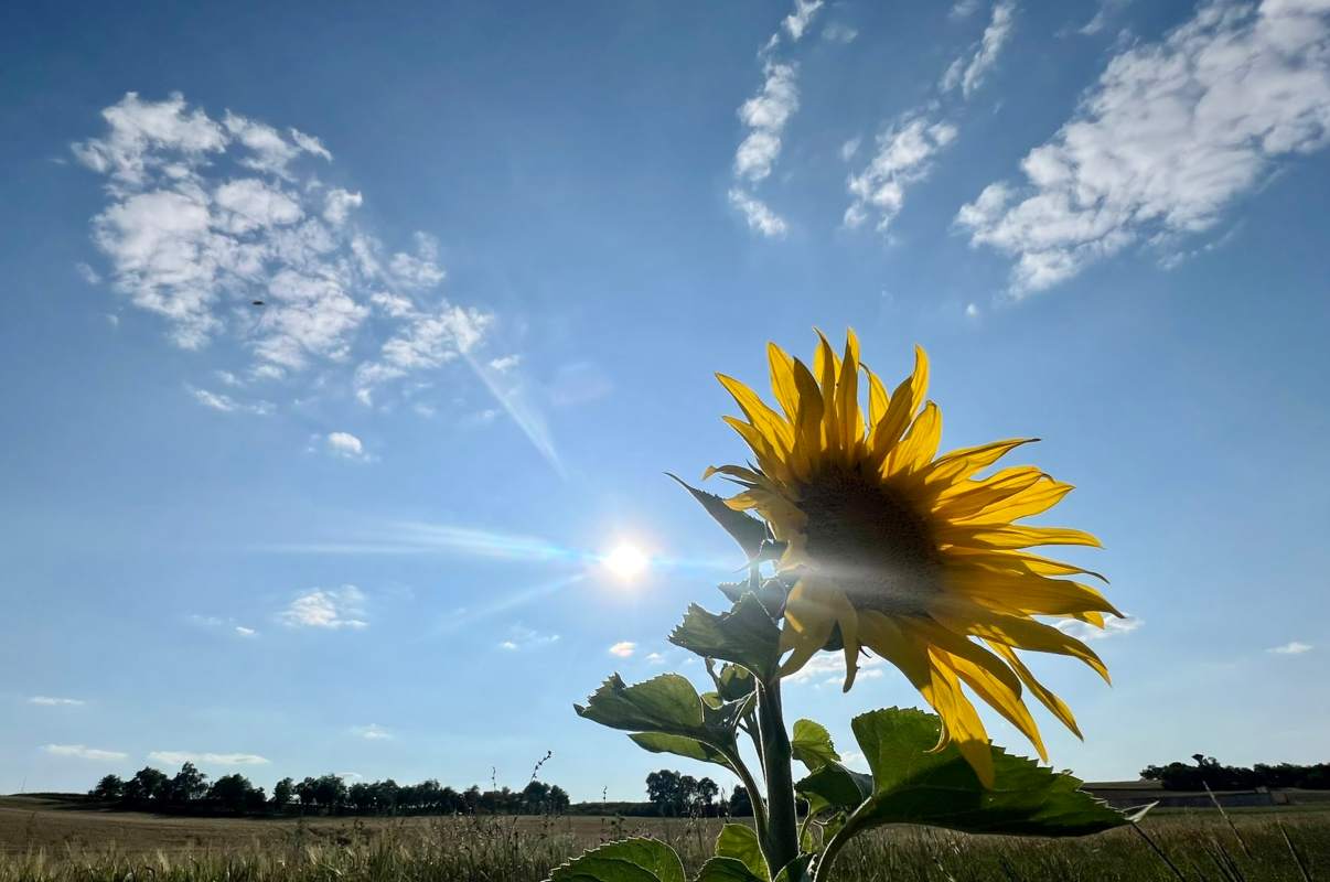 Calor y cielos despejados en CLM. Imagen de @josepujol, para la Aemet.
