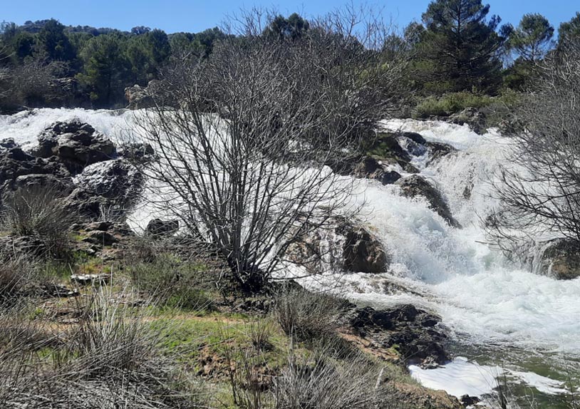 Lagunas de Ruidera. Foto: Carlos Martín-Fuertes.