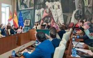 Aspecto parcial del pleno de la Diputación de Ciudad Real.