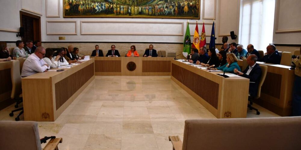 Pleno de la Diputación de hoy viernes 17 de abril.