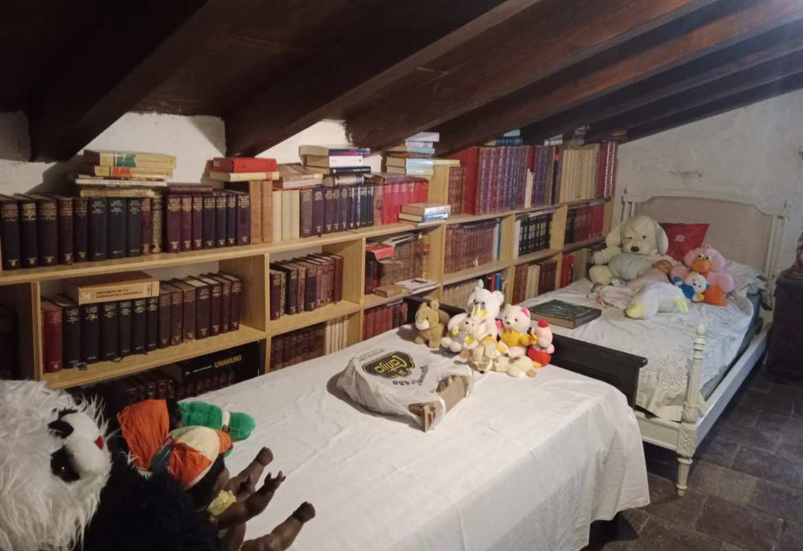 Otro aspecto de la vasta colección de Prudencio Mateos.