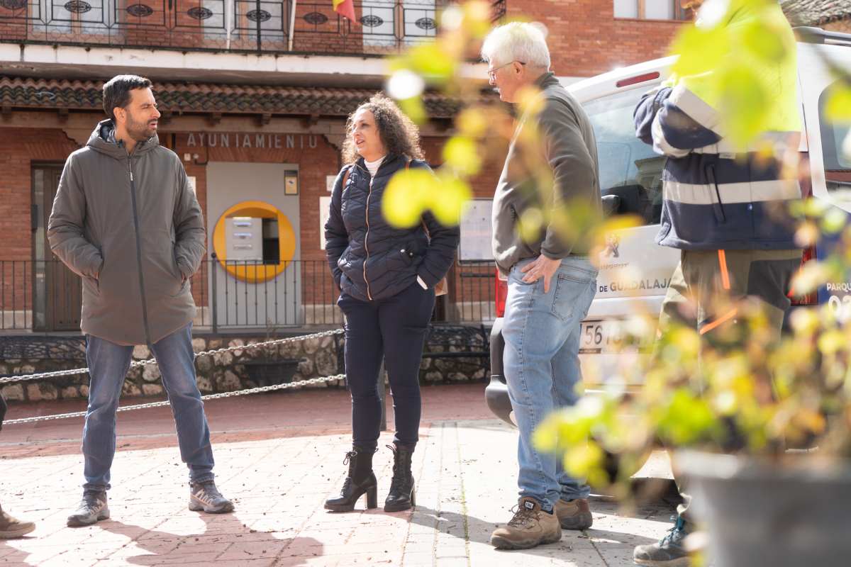 Reparto de árboles y arbustos 2026