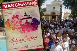 Imagen de archivo de Manchavino