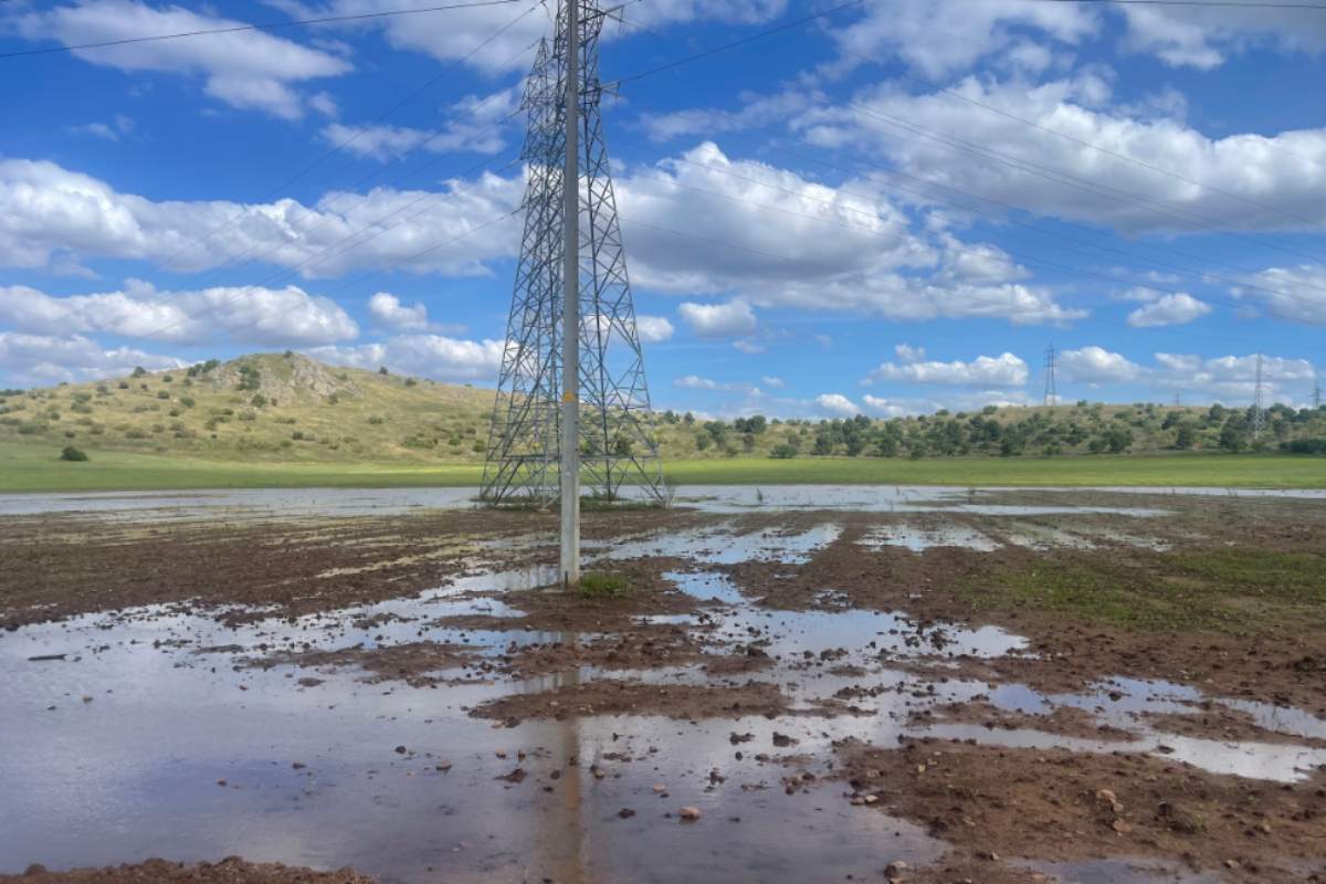 Imagen de la laguna de Peñalagua, en el término municipal de Poblete. Foto: Grupo Ornitológico Rüppell