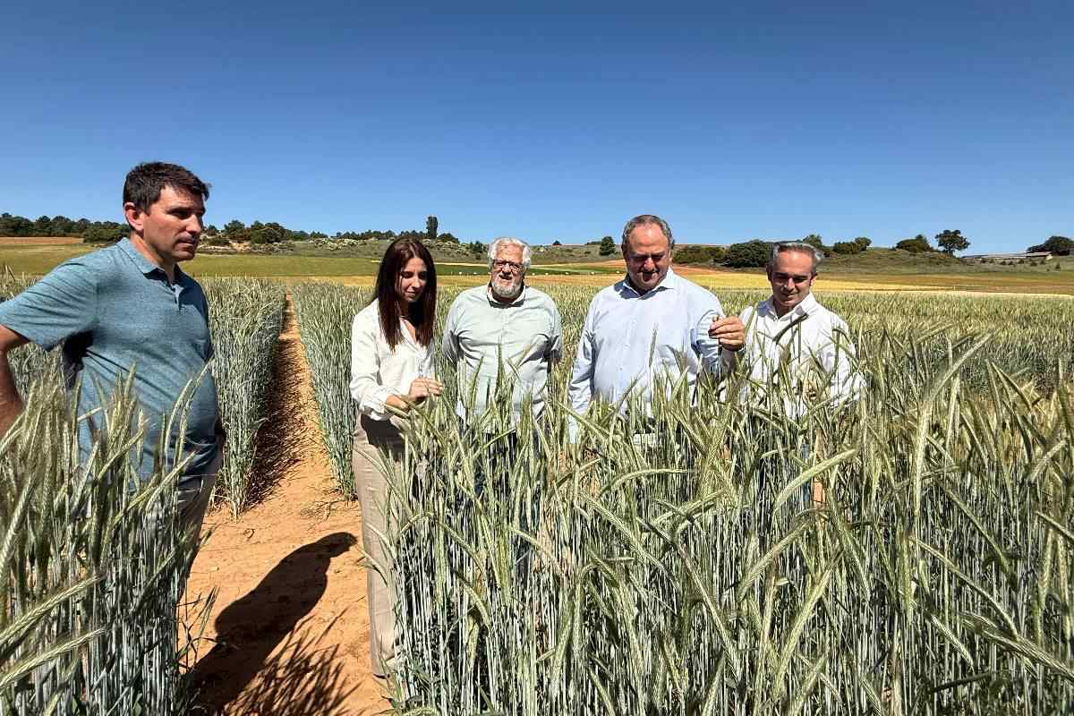 Martínez Lizán en campo de ensayo
