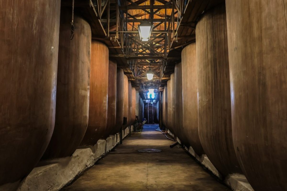 Sala de tinajas de Bodegas Naranjo, en Carrión de Calatrava