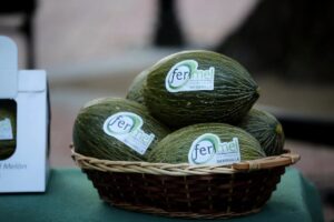 Varios melones expuestos en Ferimel