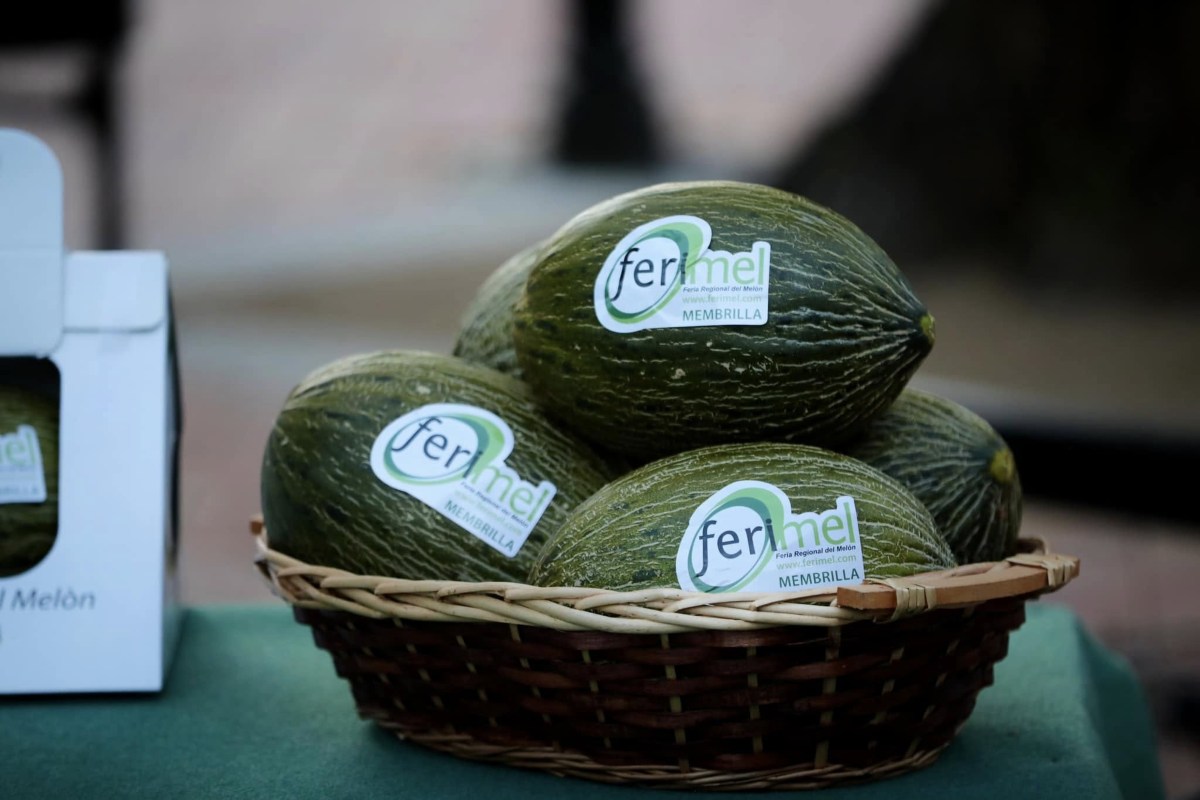 Varios melones expuestos en Ferimel