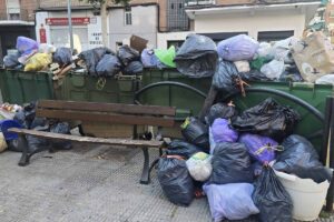 Basura acumulada en las calles de Talavera. Foto: PSOE