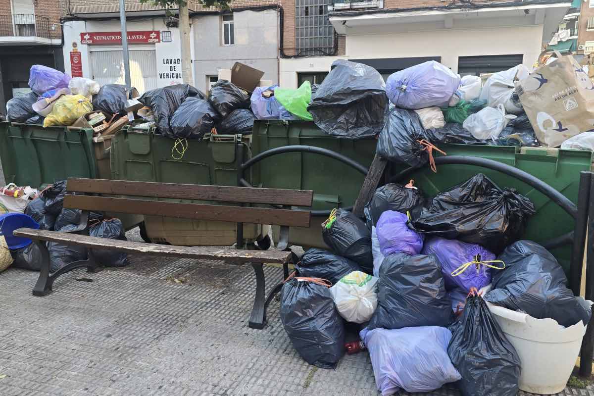 Basura acumulada en las calles de Talavera. Foto: PSOE