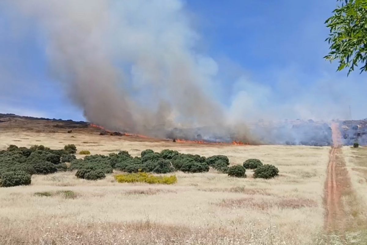 Incendio forestal en Puertollano. Foto: Infocam