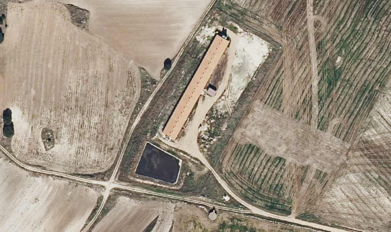 Macrogranja de Torralba (Cuenca), cuya ampliación se ha empezado a tramitar