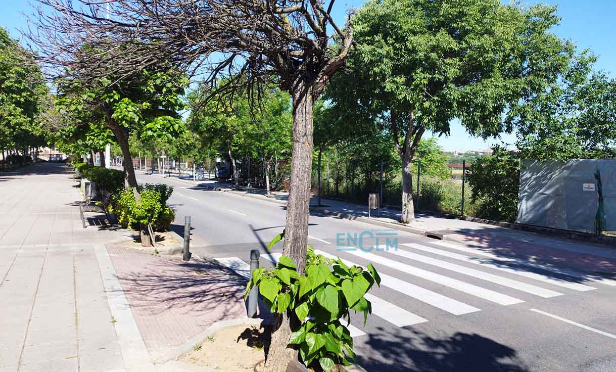 Paso de cebra en el que se produjo el atropello.