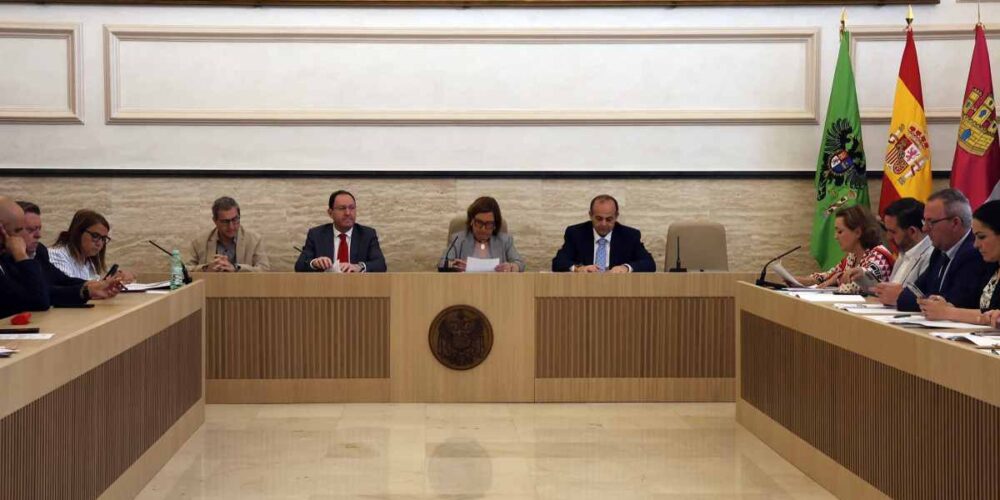 Pleno de la Diputación.