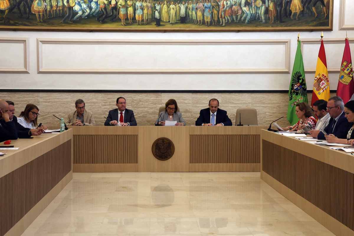 Pleno de la Diputación.