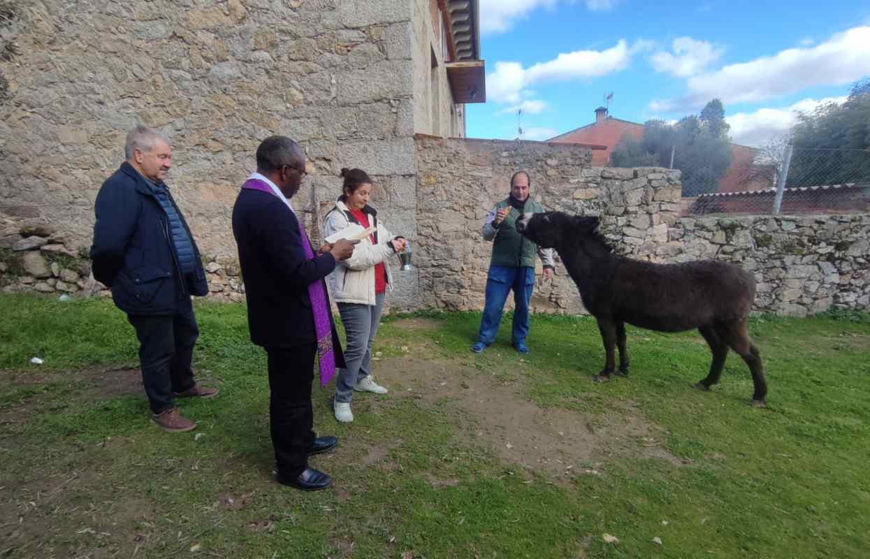 El burro Renato también recibe la bendición por San Antón.