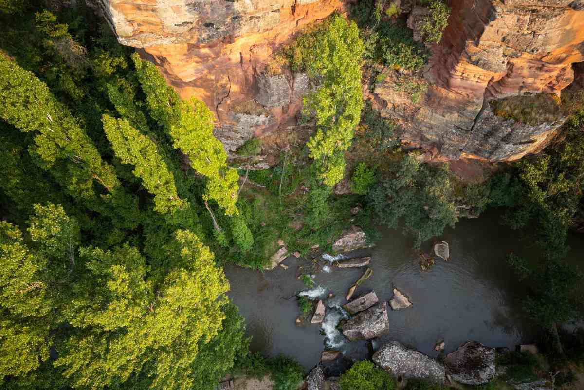 Río Gallo Foto: Naturtajo