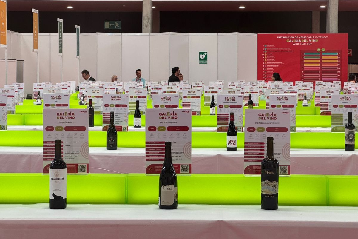 Algunas de las referencias presentes en la Galería del Vino de Fenavin Match