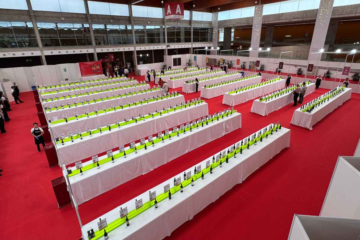 Galería del Vino de Fenavin Match