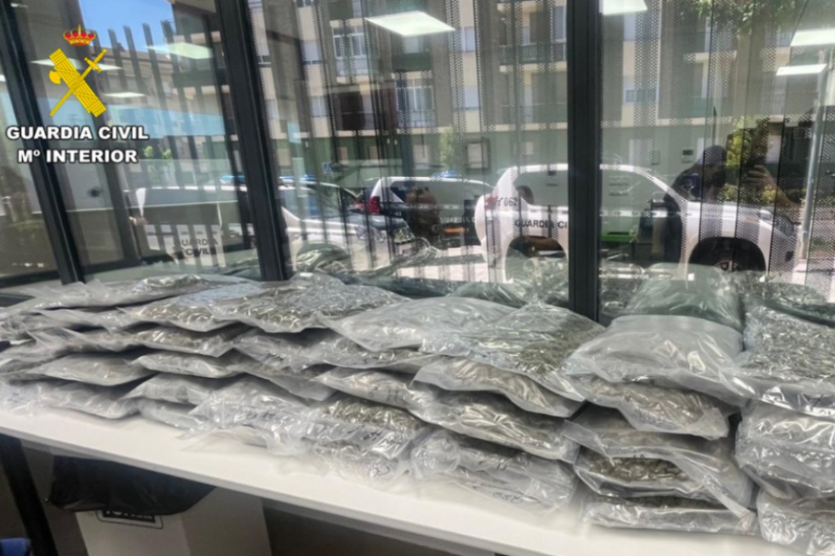 Droga intervenida por la Guardia Civil de Albacete