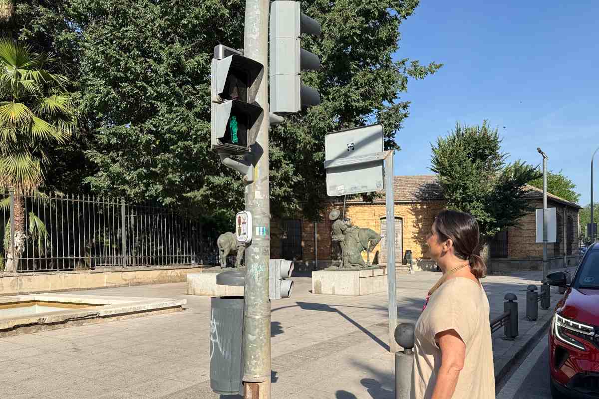 Uno de los semáforos instalados con la silueta de Don Quijote y Dulcinea
