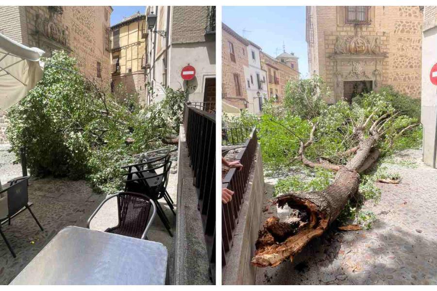 Cae una enorme rama en la Plaza de la Bellota, en el casco de Toledo, sin causar heridos