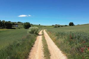 Camino rural provincia de Guadalajara