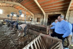 Visita Escuela Pastores Molina de Aragón
