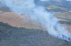 Incendio en Elche de la Sierra (Albacete).