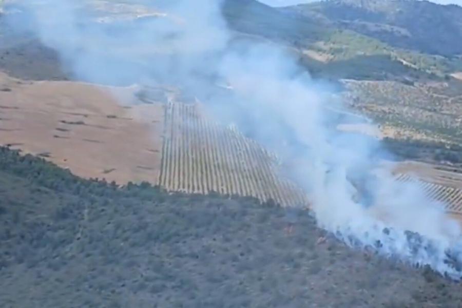 Se declara un incendio en Elche de la Sierra (Albacete) en el que trabajan 51 efectivos en su extinción