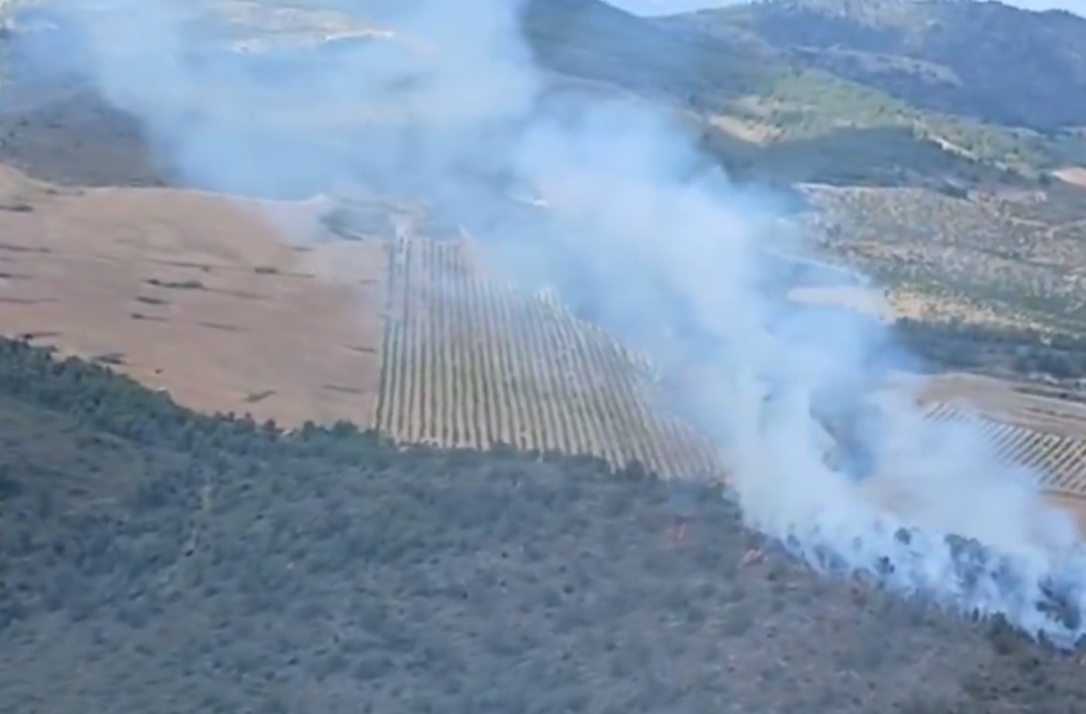 Incendio en Elche de la Sierra (Albacete).