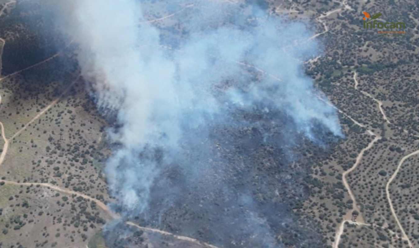 Fuego en las cercanías de Toledo. Foto: Infocam.
