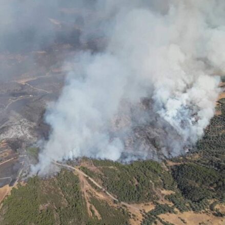 Incendio en una pedanía de Calzada de Calatrava, en Ciudad Real.