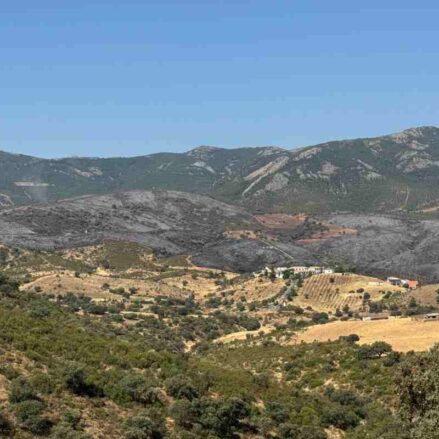 Incendio en Calzada de Calatrava (Ciudad Real).