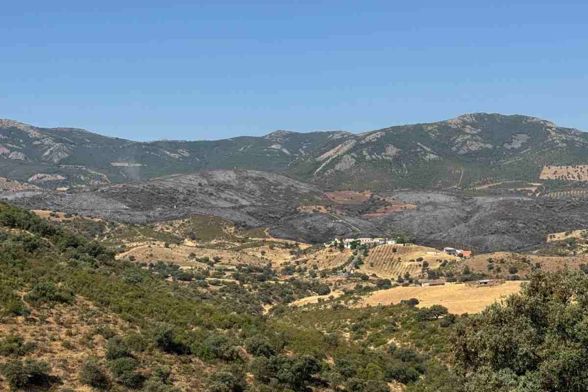 Incendio en Calzada de Calatrava (Ciudad Real).