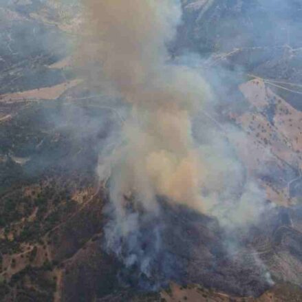 Incendio en una pedanía de Calzada de Calatrava, en Ciudad Real.