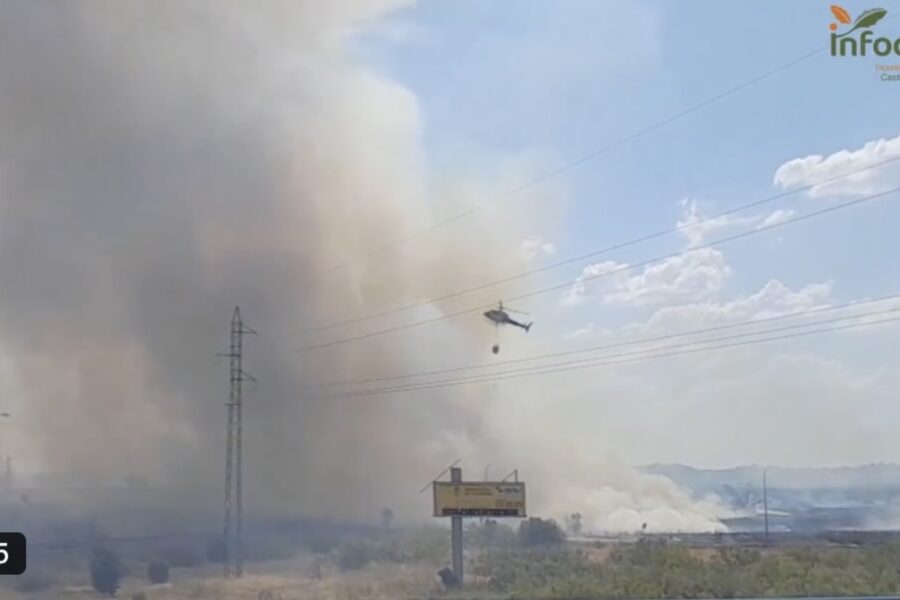 Extinguido el incendio de Gamonal, cerca de Talavera, que llegó al nivel 1