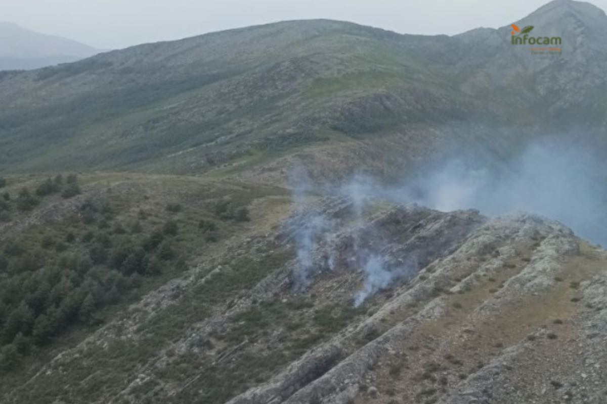 Incendio forestal en Guadalajara. Foto: Infocam