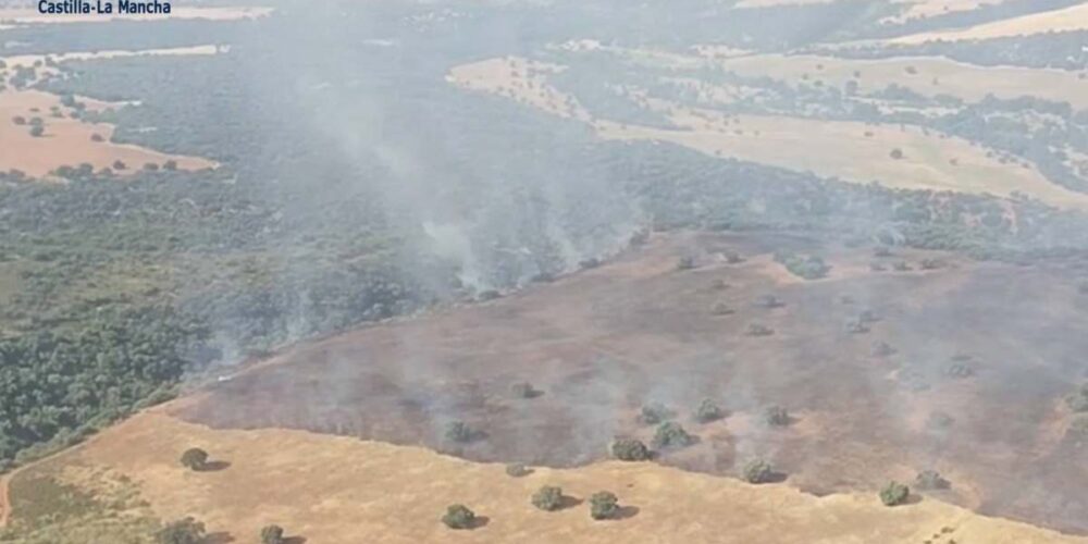 Un incendio forestal se ha declarado este miércoles en el término municipal de Villarejo de Montalbán (Toledo).