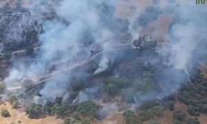 Detalle del incendio de Méntrida.
