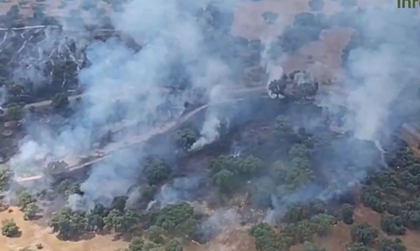 Detalle del incendio de Méntrida.