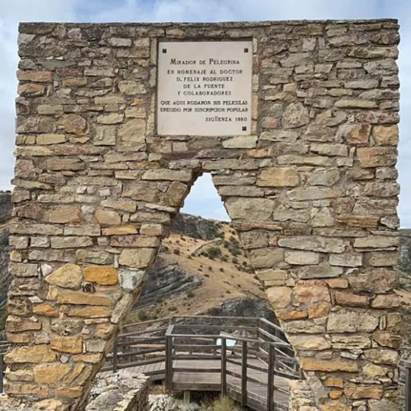Mirador Félix Rodríguez de la Fuente Foto: Turismo Castilla-La Mancha