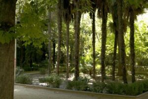 Zonas verdes Guadalajara