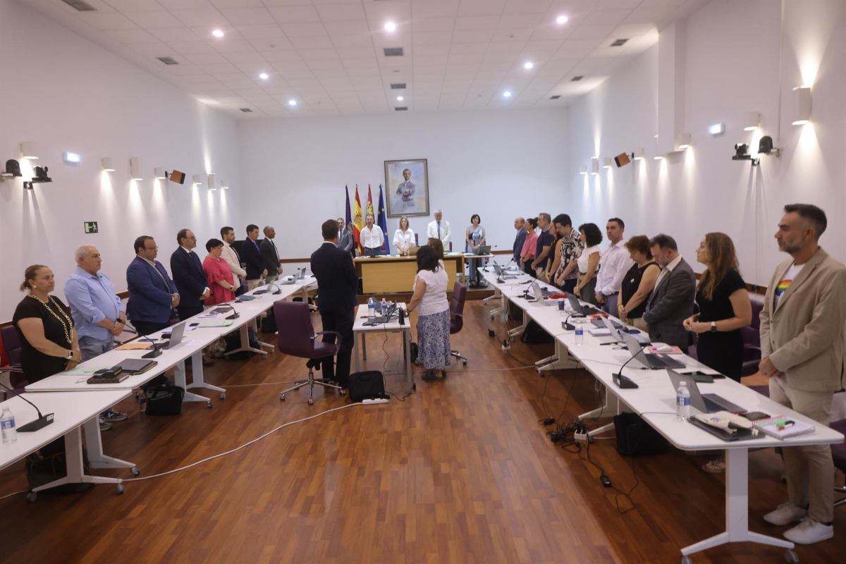 Pleno Ayuntamiento Guadalajara