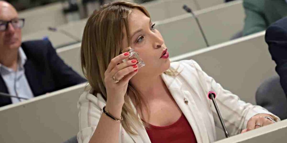 La senadora albaceteña del PSOE, Amparo Torres, defendiendo la moción del azafrán en el Congreso.