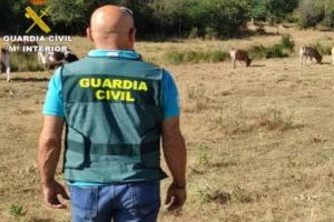 Equipos ROCA