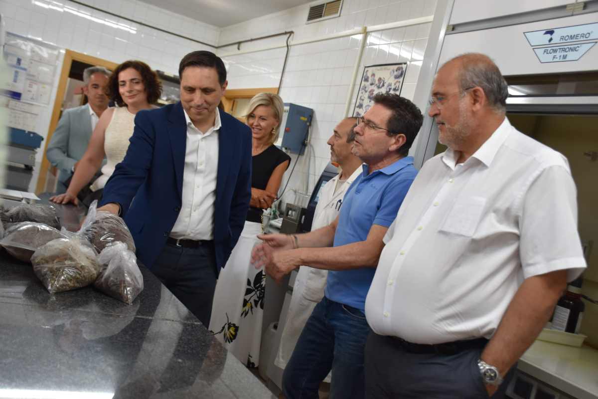 Centro de Investigación y Estudio del Champiñón y la Seta de Quintanar del Rey