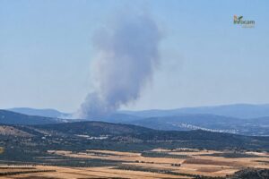 Columna de humo del incendio forestal declarado en Viso del Marqués