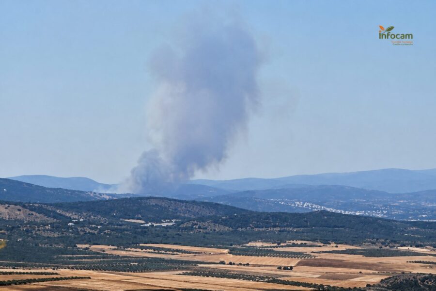 Amplio despliegue del Infocam para combatir un incendio forestal en Viso del Marqués (Ciudad Real)